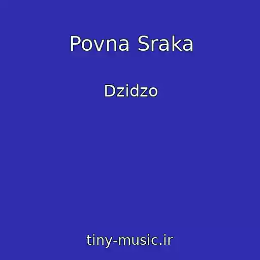 کاور آهنگ Povna Sraka از Dzіdzo