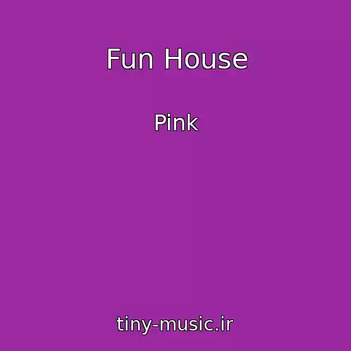 کاور آهنگ Fun House از Pink