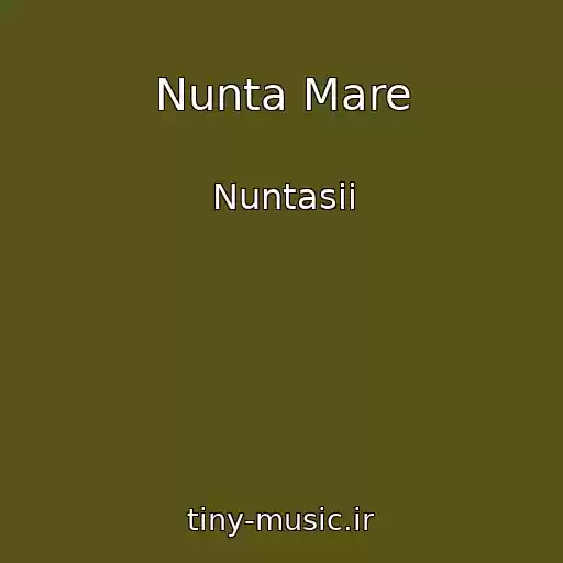 کاور آهنگ Nunta Mare از Nuntasii
