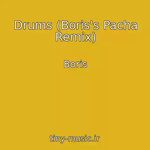 کاور آهنگ Drums (Boris's Pacha Remix) از Boris