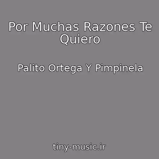 کاور آهنگ Por Muchas Razones Te Quiero از Palito Ortega Y Pimpinela