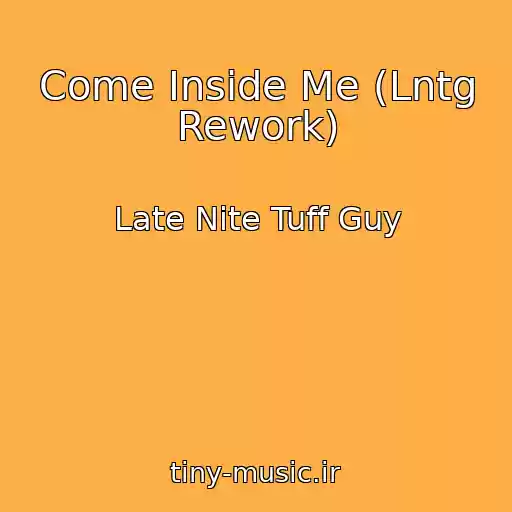 کاور آهنگ Come Inside Me (Lntg Rework) از Late Nite Tuff Guy