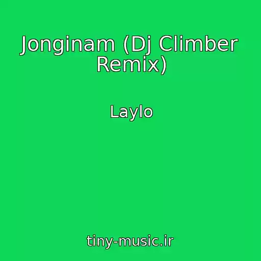 کاور آهنگ Jonginam (Dj Climber Remix) از Laylo