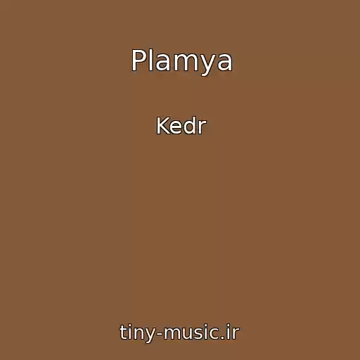 کاور آهنگ Plamya از Kedr