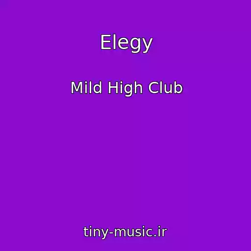 کاور آهنگ Elegy از Mild High Club