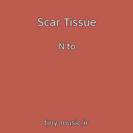 کاور آهنگ Scar Tissue از N'to