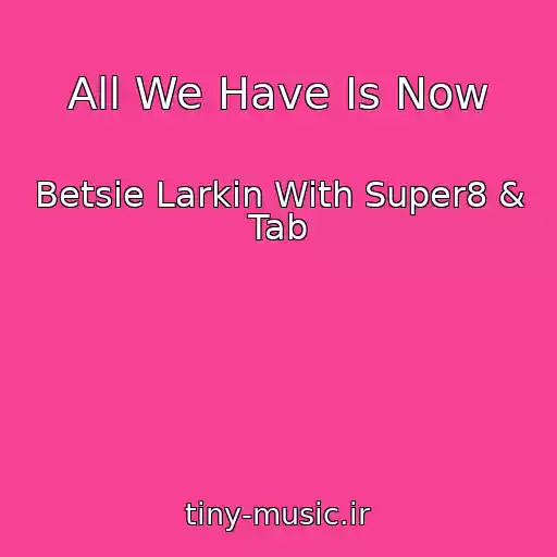 کاور آهنگ All We Have Is Now از Betsie Larkin With Super8 & Tab