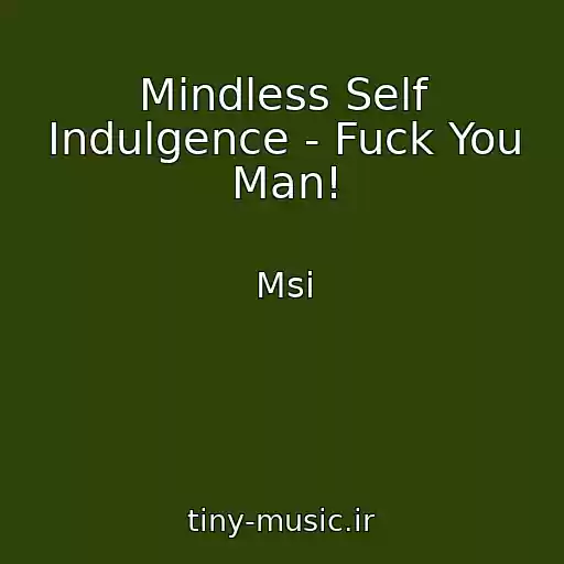 کاور آهنگ Mindless Self Indulgence - Fuck You Man! از Msi