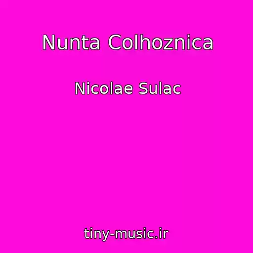 کاور آهنگ Nunta Colhoznica از Nicolae Sulac