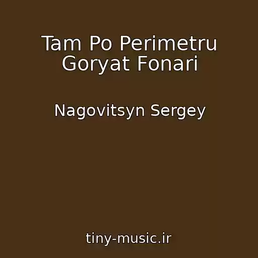 کاور آهنگ Tam Po Perimetru Goryat Fonari از Nagovitsyn Sergey