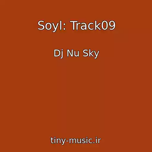 کاور آهنگ Soyl: Track09 از Dj Nu Sky