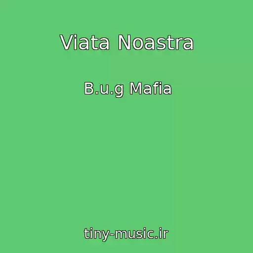 کاور آهنگ Viata Noastra از B.u.g Mafia