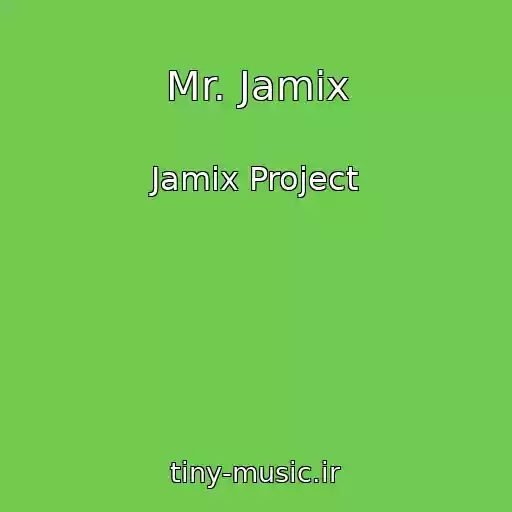 کاور آهنگ Mr. Jamix از Jamix Project