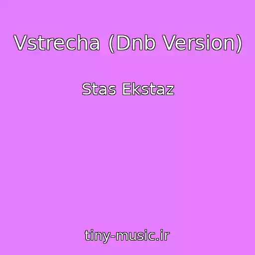 کاور آهنگ Vstrecha (Dnb Version) از Stas Ekstaz