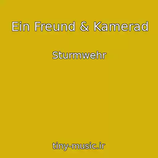 کاور آهنگ Ein Freund & Kamerad از Sturmwehr
