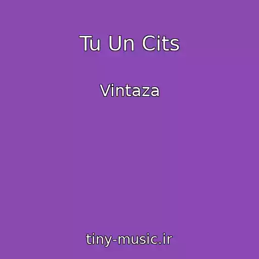 کاور آهنگ Tu Un Cits از Vintaza