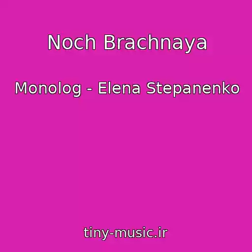 کاور آهنگ Noch Brachnaya از Monolog - Elena Stepanenko
