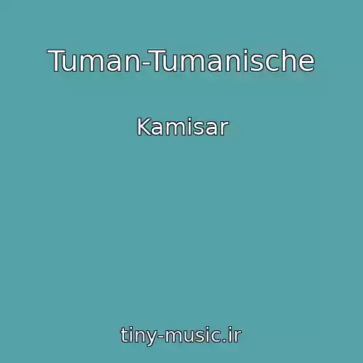 کاور آهنگ Tuman-Tumanische از Kamisar