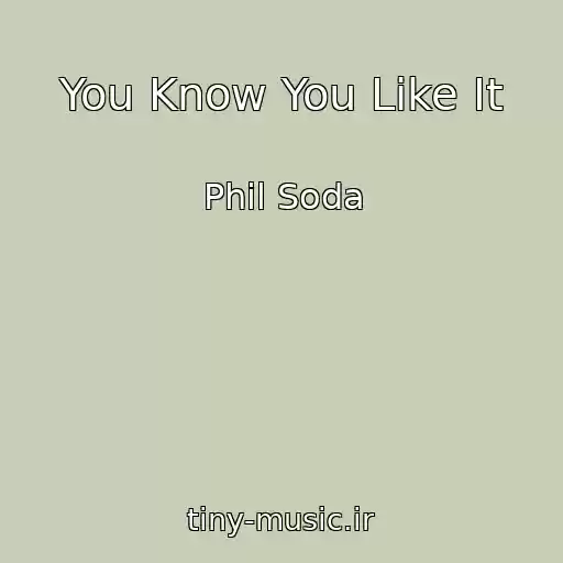 کاور آهنگ You Know You Like It از Phil Soda