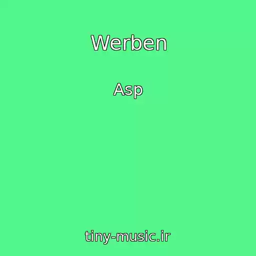 کاور آهنگ Werben از Asp