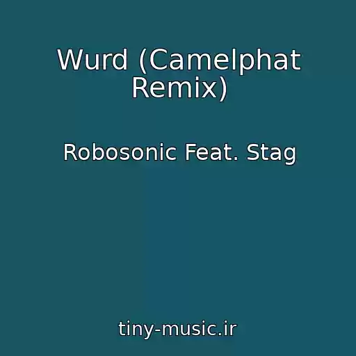 کاور آهنگ Wurd (Camelphat Remix) از Robosonic Feat. Stag