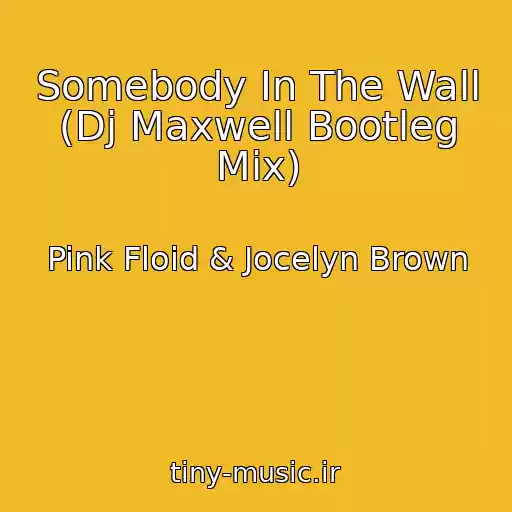 کاور آهنگ Somebody In The Wall (Dj Maxwell Bootleg Mix) از Pink Floid & Jocelyn Brown