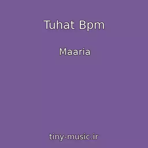 کاور آهنگ Tuhat Bpm از Maaria