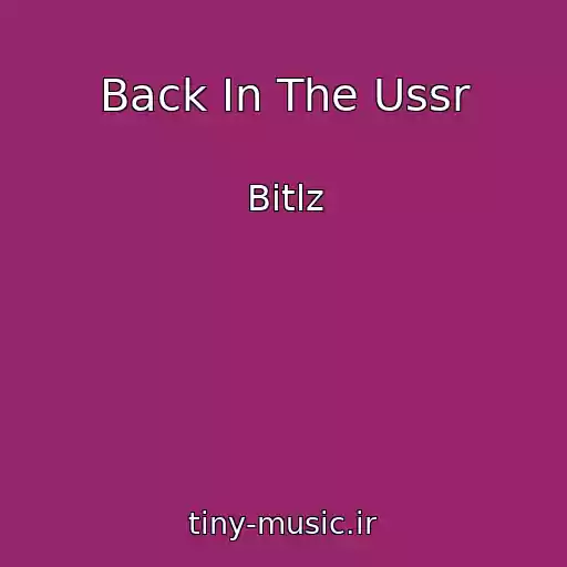 کاور آهنگ Back In The Ussr از Bitlz