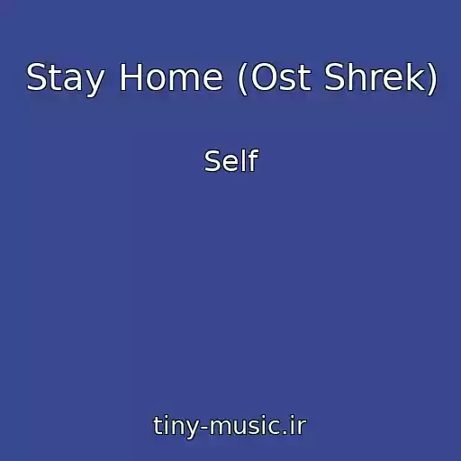 کاور آهنگ Stay Home (Ost Shrek) از Self