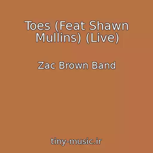 کاور آهنگ Toes (Feat Shawn Mullins) (Live) از Zac Brown Band