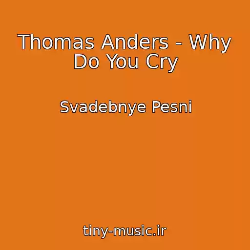 کاور آهنگ Thomas Anders - Why Do You Cry از Svadebnye Pesni