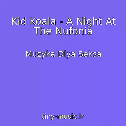 کاور آهنگ Kid Koala - A Night At The Nufonia از Muzyka Dlya Seksa