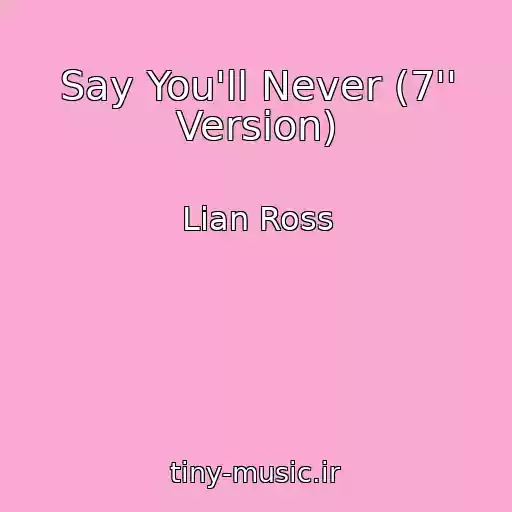 کاور آهنگ Say You'll Never (7'' Version) از Lian Ross