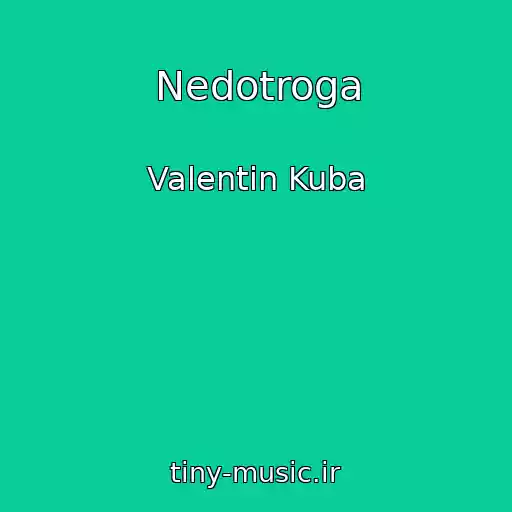 کاور آهنگ Nedotroga از Valentin Kuba