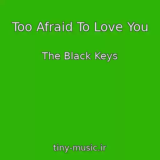 کاور آهنگ Too Afraid To Love You از The Black Keys