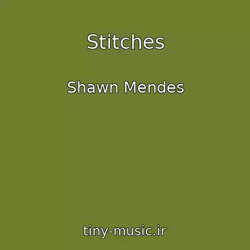 کاور آهنگ Stitches از Shawn Mendes