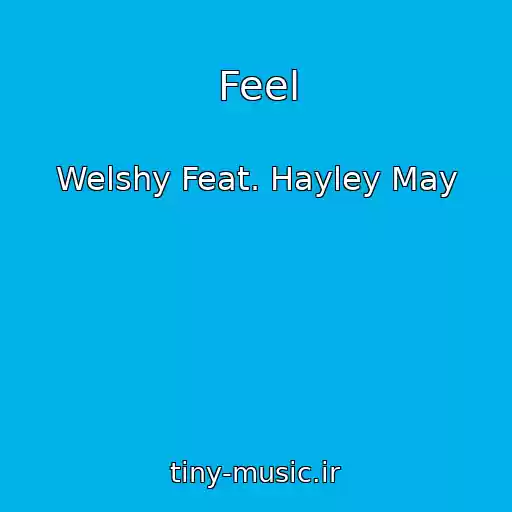 کاور آهنگ Feel از Welshy Feat. Hayley May