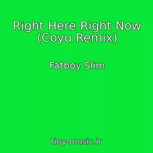 کاور آهنگ Right Here Right Now (Coyu Remix) از Fatboy Slim