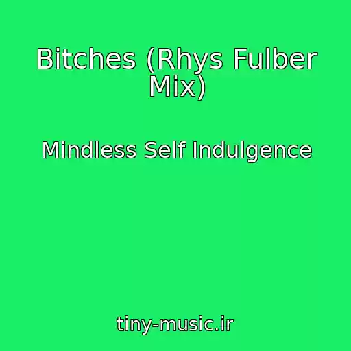کاور آهنگ Bitches (Rhys Fulber Mix) از Mindless Self Indulgence