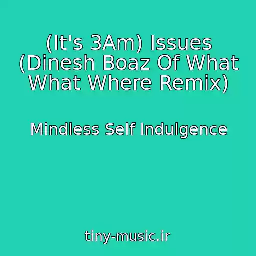 کاور آهنگ (It's 3Am) Issues (Dinesh Boaz Of What What Where Remix) از Mindless Self Indulgence