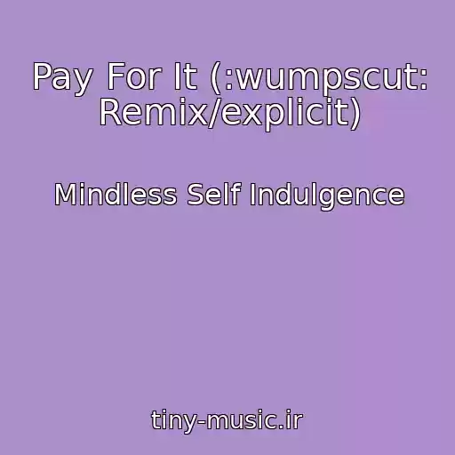 کاور آهنگ Pay For It (:wumpscut: Remix/explicit) از Mindless Self Indulgence