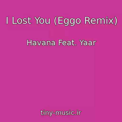 کاور آهنگ I Lost You (Eggo Remix) از Havana Feat. Yaar