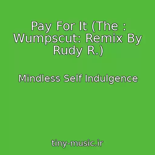کاور آهنگ Pay For It (The : Wumpscut: Remix By Rudy R.) از Mindless Self Indulgence