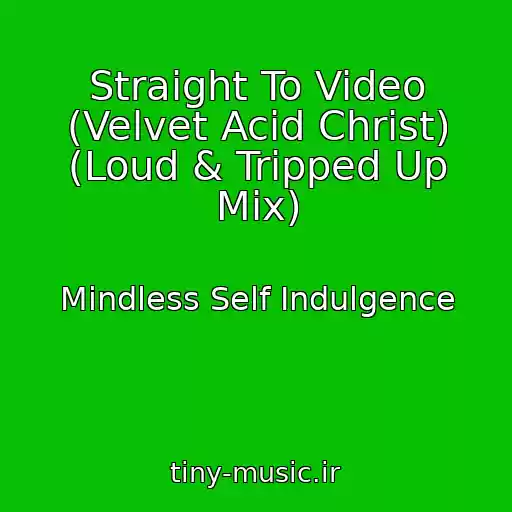 کاور آهنگ Straight To Video (Velvet Acid Christ) (Loud & Tripped Up Mix) از Mindless Self Indulgence