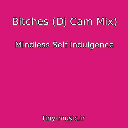کاور آهنگ Bitches (Dj Cam Mix) از Mindless Self Indulgence
