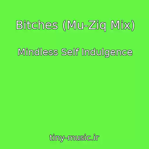 کاور آهنگ Bitches (Mu-Ziq Mix) از Mindless Self Indulgence