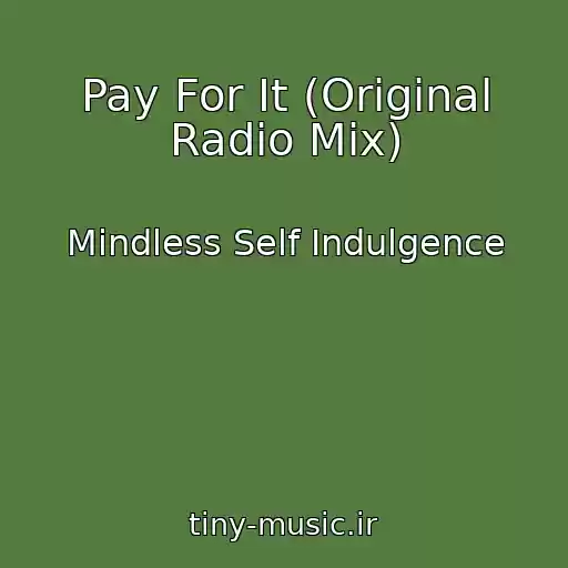 کاور آهنگ Pay For It (Original Radio Mix) از Mindless Self Indulgence