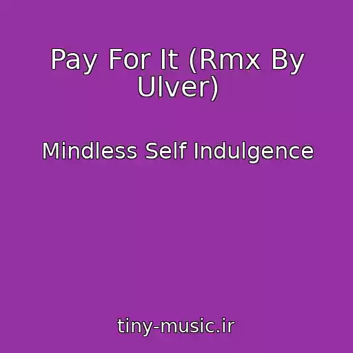 کاور آهنگ Pay For It (Rmx By Ulver) از Mindless Self Indulgence