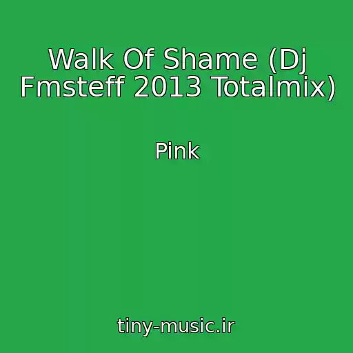 کاور آهنگ Walk Of Shame (Dj Fmsteff 2013 Totalmix) از Pink