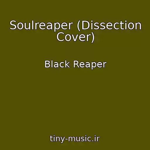 کاور آهنگ Soulreaper (Dissection Cover) از Black Reaper